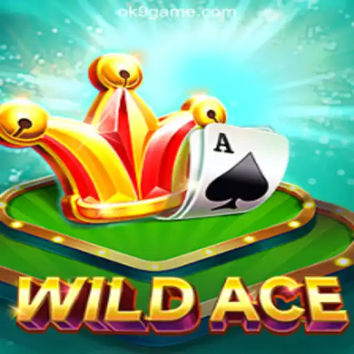 Discover the Thrills of WildAce at OK9 Cassino
